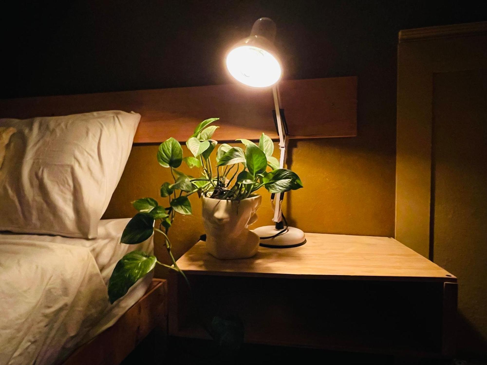 Apartamento Green House - Downtown O Guanajuato